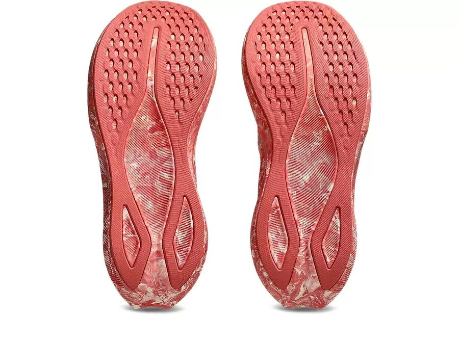 noosa tri 16