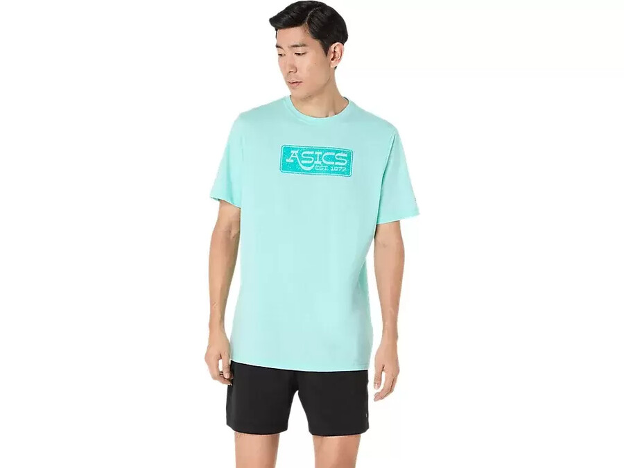 asics 1977 t-shirt